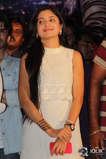 Sikindar-Movie-Audio-Success-Meet